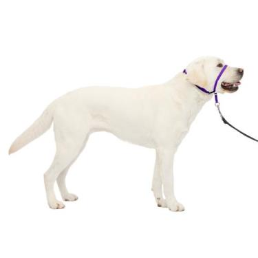 Imagem de Coleira De Cabeça Para Cães Petsafe Gentle Leader No-Pull Large Purple