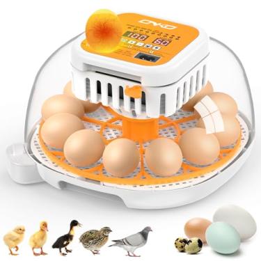 Imagem de 12 incubadoras para incubadoras de ovos, incubadora de ovos com rotação automática de ovos e controle de umidade, controle de temperatura, motor substancial, vela de LED, para incubação de frango