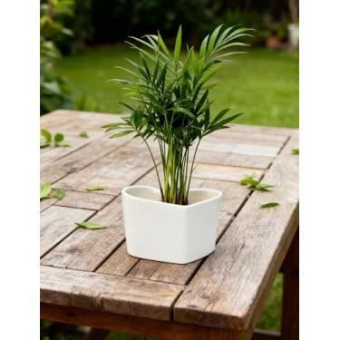 Imagem de Vaso de cerâmica médio de 9 cm x 6,6 cm, para suculentas, mini fofo, jardim, flor, berçário, suculenta, para plantas de interior, vasos de cerâmica, coração, 6