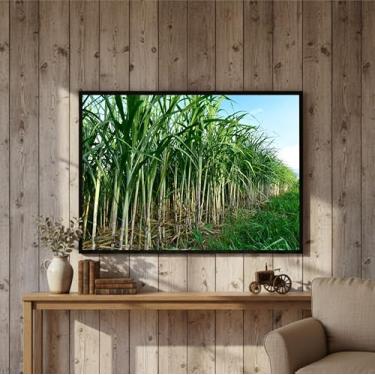 Imagem de Quadro Decorativo Grande Agro Plantação Sala Escritório 100x70 (07)