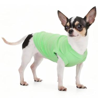Imagem de Paiaite Camiseta regata lisa sem mangas para cães: roupas coloridas para cães pequenos (menina e menino) camisetas de cachorro em branco, roupas de estilo simples roupa confortável para caninos