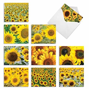 Imagem de M6042 SUNNY SIDE UP: 10 Assorted Blank Note Cards with Envelopes, The Best Card Company