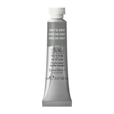 Imagem de Winsor & Newton Tinta profissional para aquarela, tubo de 4,8 g, cinza Davy's
