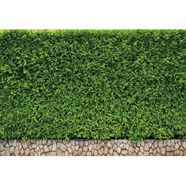 Imagem de LFEEY 3 x 2,4 m Vinil Natureza Folhas Verdes Fotografia Fundo Sem Costura Verde Plantas Flores Parede Casamento Foto Fundo Recém-Nascidos Bebê Meninas Adulto Retrato Festa Eventos Decoração Estúdio Adereços