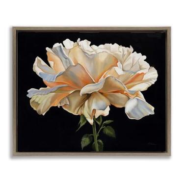 Imagem de Stupell Industries Delicadas pétalas de cravo sobre preto marrom emoldurado tela flutuante design de arte de parede por Liz Jardine, 25 x 31