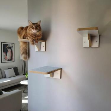 Imagem de Playground Gato Reforçado com 3 Degraus em MDF 15mm LAMINADO Com Carpe