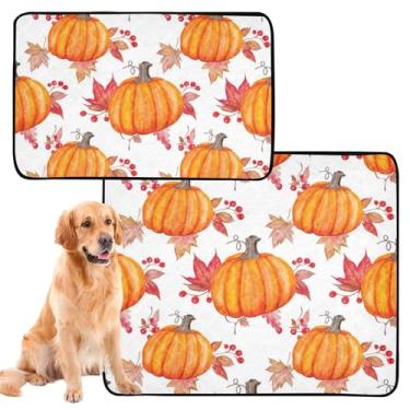 Imagem de Almofadas de xixi para cães, lavável, aquarela, outono, abóboras, para animais de estimação, tapete reutilizável para filhotes de cachorro, absorvente à prova d'água, tapete de gaiola para cães, fofo