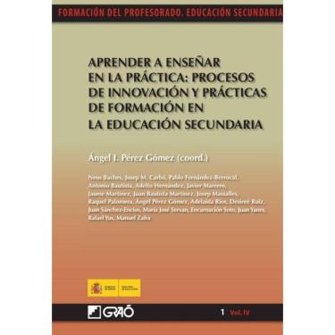 Imagem de Aprender a enseñar en la práctica: procesos de innovación y prácticas de formación en la educación s
