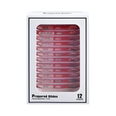 Imagem de Lâminas De Microscópio Para Estudantes, 12 Peças, Amostras Biológicas 