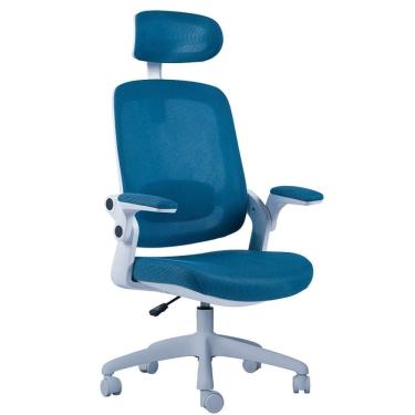 Imagem de Cadeira de Escritorio Presidente NR17 Elements Astra Branca/Azul