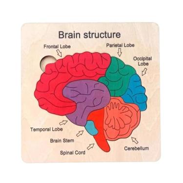 Imagem de menolana Quebra-cabeça de cérebro de madeira, brinquedo educacional, ferramenta de ensino, tabuleiro de quebra-cabeça, brinquedo de aprendizagem precoce,