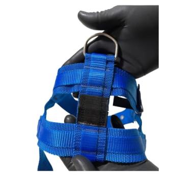 Imagem de Peitoral Coleira + Guia Para Cachorro Resistente Seguro Confortável Pet(Azul,M)