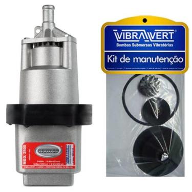 Imagem de Bomba Submersa De Poço Sapo + KIT DE MANUTENÇÃO Rymer 2500 220V - Vibr
