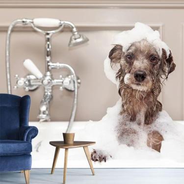 Imagem de Papel de Parede Veterinário Banho e Tosa Sala Adesivo - 406pcm - Allod