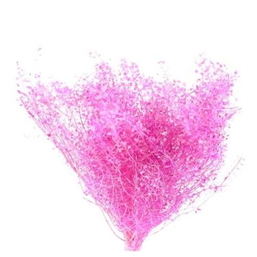 Imagem de Sementinha Rosa Flores Secas Decorar Presente - Tem Flores