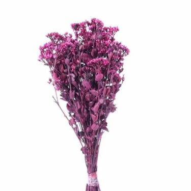 Imagem de Chuvisco Rosa Desidratado - Pense Flores