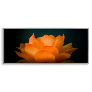 Imagem de Stupell Industries Arte giclée emoldurada cinza lótus laranja brilhante, design por Phillip Flowers, 33 x 30