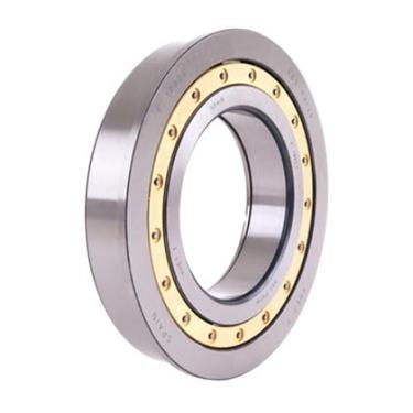 Imagem de ROLAMENTO EIXO PILOTO TRASEIRO G3 50-60-61