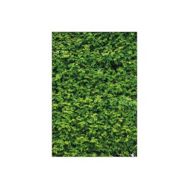 Imagem de Painel De Festa Vertical 1,50 x 2,20 - Efeito Muro Inglês 002 - Via Co