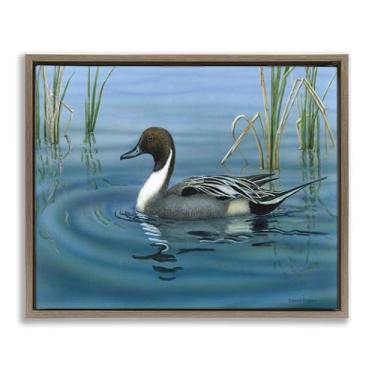 Imagem de Stupell Industries Tela emoldurada Pintail Loon in Pond Brown Floater Design de arte de parede por Valerie Rogers, 21 x 17