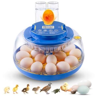 Imagem de Incubadora de ovos com rotação automática de ovos, controle de temperatura, visor de umidade, 18 frangos, embriões, incubadora para incubação de frango, pato, codorna, ganso, peru, réptil, ovos