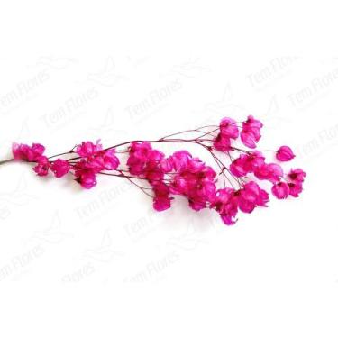 Imagem de Bougainvile Desidratado Buque Flores Secas - Pense Flores, Pink