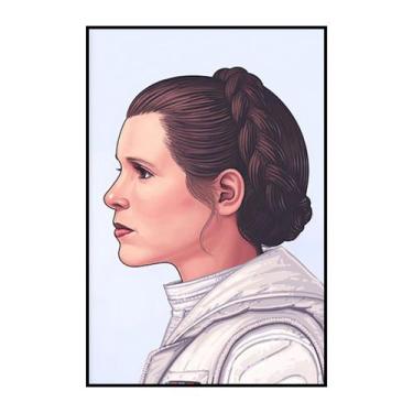 Imagem de Pôster: arte de parede, pintura decorativa, Leia Organa Solo Anime - y