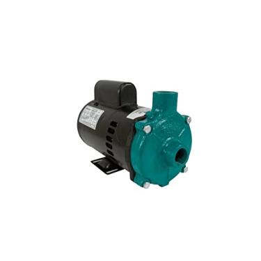 Imagem de Motobomba Centrífuga Monofásica Bivolt 1/3CV ECS-33ME - Eletroplas