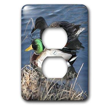 Imagem de 3dRose Lsp_11549_6 Capa de tomada para casal Pato Mallard