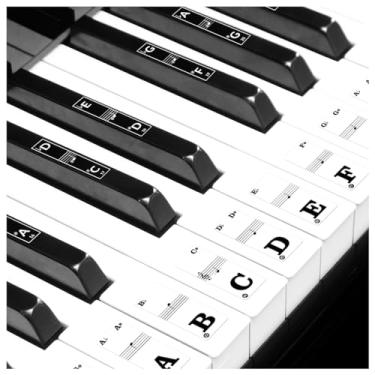 Imagem de Adesivos básicos de teclado de piano para crianças iniciantes adultos aprendendo 37 44 49 54 61 88 teclas etiquetas de vinil com letras números removíveis pequenos decalques branco preto chave musical
