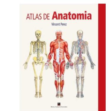 Imagem de Atlas De Anatomia - Barros Fischer & Associados, 3