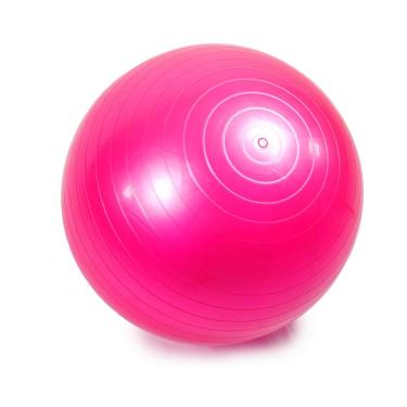 Imagem de Bola de Yoga P 55cm Rosa Trail