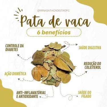 Imagem de Chá Pata de Vaca 500 gramas Pura - Minas Atacadista