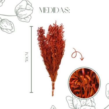 Imagem de Buquê Capim Licopodium Cores Desidratado Arranjo Decoração - FLORA FUL