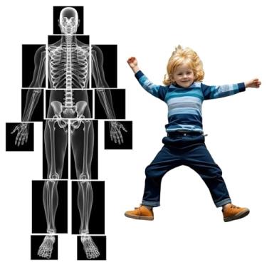 Imagem de X-ray Film Learning Set for Kids, 15 Pieces, Human Body Educational Kit, Light Table Materials, Montessori & Reggio-Inspired