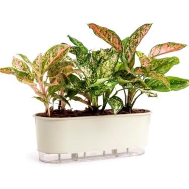 Imagem de Vaso Jardineira Autoirrigável Preto 40cm Raiz Terrazo Para Todos Tipos de Plantas (Calcário)