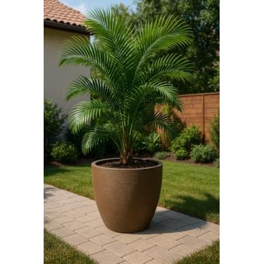 Imagem de VASO CONE DECORATIVO LUXO MODELO GRAFIATO PEQUENO 40X50 VOLUME 50 LITROS (MARROM)