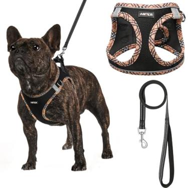 Imagem de AMTOR Coleira Peitoral para Cachorros com Guia, Arnês Reflexivo Ajustável para Filhotes com Colete Acolchoado para Cães e Gatos, XS (Preto Amarelo)