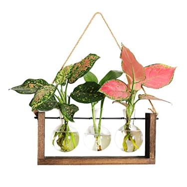 Imagem de Cryfokt Moldura de Madeira retrô de Vaso Hidropônico para ótima Propagação de Plantas e Decoração de Casa, Adequada para Sala de Estar, Cozinha, Corredor de Escritório, Madeira + Material de Vidro