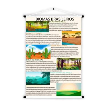 Imagem de Banner Educativo em Lona Biomas Brasileiro 70x55 cm - Core Decore