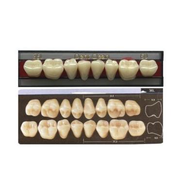 Imagem de Dente Dent Clean Posterior 36L Inferior - Imodonto
