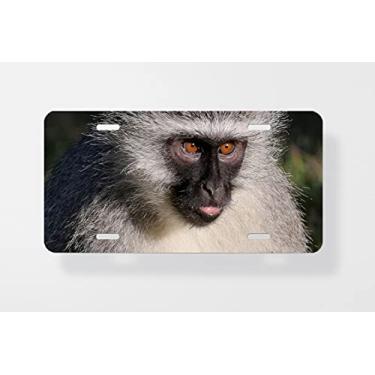 Imagem de Capa para placa de licença concentrada de macaco Vervet – Capa para placa de carro – Capa para placa de carro 15 x 30 cm