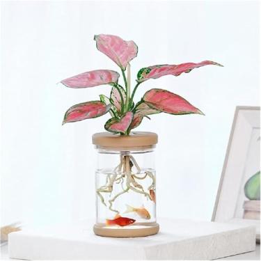 Imagem de Vaso de plantas transparente, vaso de flores hidropônico com tampa de silicone, estação de propagação de plantas internas - adequado para decoração de sala de estar e mesa de escritório