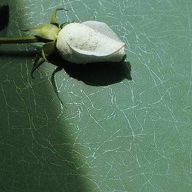 Imagem de Safiyya Papel de parede verde escuro seda contato papel de parede texturizado descascar e colar papel de parede removível moderno rolos de vinil autoadesivos decorativos de seda 299.7 cm x 39.9 cm