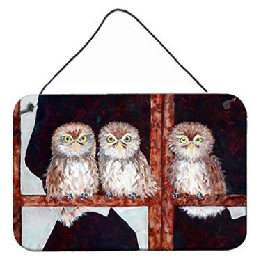 Imagem de Caroline's Treasures FHC1002DS812 Owls por Ferris Hotard Impressões para pendurar na parede ou na porta, 20 x 30 cm, multicolorido