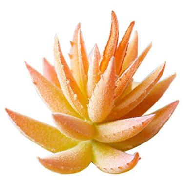 Imagem de Suculentas Artificiais, JUSTDOLIFE Mini planta de aloe artificial suculentas plantas realistas para decoração de casa de casamento