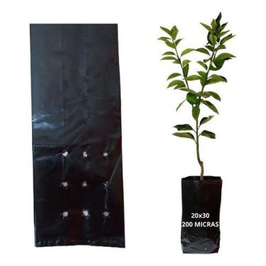 Imagem de Saco Saquinho Para Mudas Plástico Preto 20x30cm 100 Unidades - Sem Mar