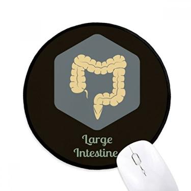 Imagem de DIYthinker Body Organs Mouse Pad Intestino Grande Desktop Tapete Redondo para Computador