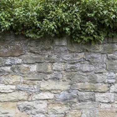 Imagem de Papel de Parede Ambiente Natural Muro Inglês - GH Papel de Parede, 1,0