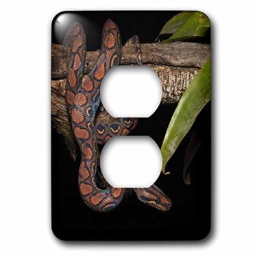 Imagem de 3dRose Lsp_86348_6 Rainbow Boa Snake, Amazon Rainforest, Equador-SA07 POX1359-Pete Oxford-2 Tomada Capa